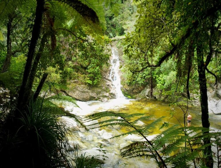 Wainui Falls Track